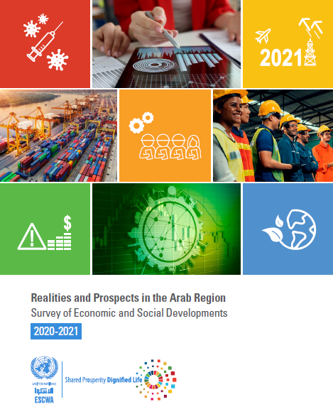 Realities and Prospects: Survey of Economic and Social Developments in the Arab Region