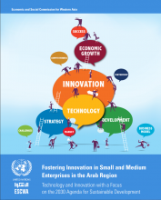 Fostering Innovation in Small and Medium Enterprises in the Arab Region